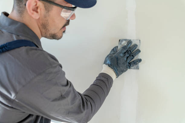 Best Drywall Removal and Disposal  in Grand Point, LA