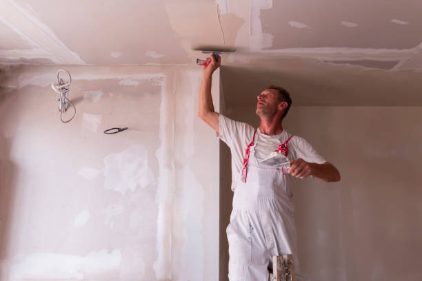 Best Drywall Installation  in Grand Point, LA